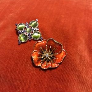Vibrant Brooches